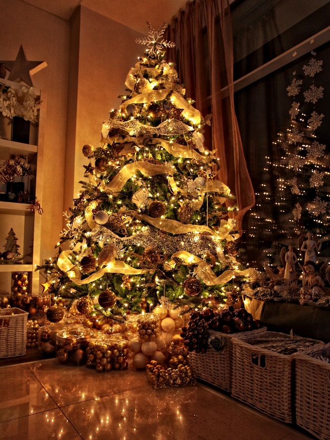 Galéria Vianočné stromčeky - Vianočná predajňa