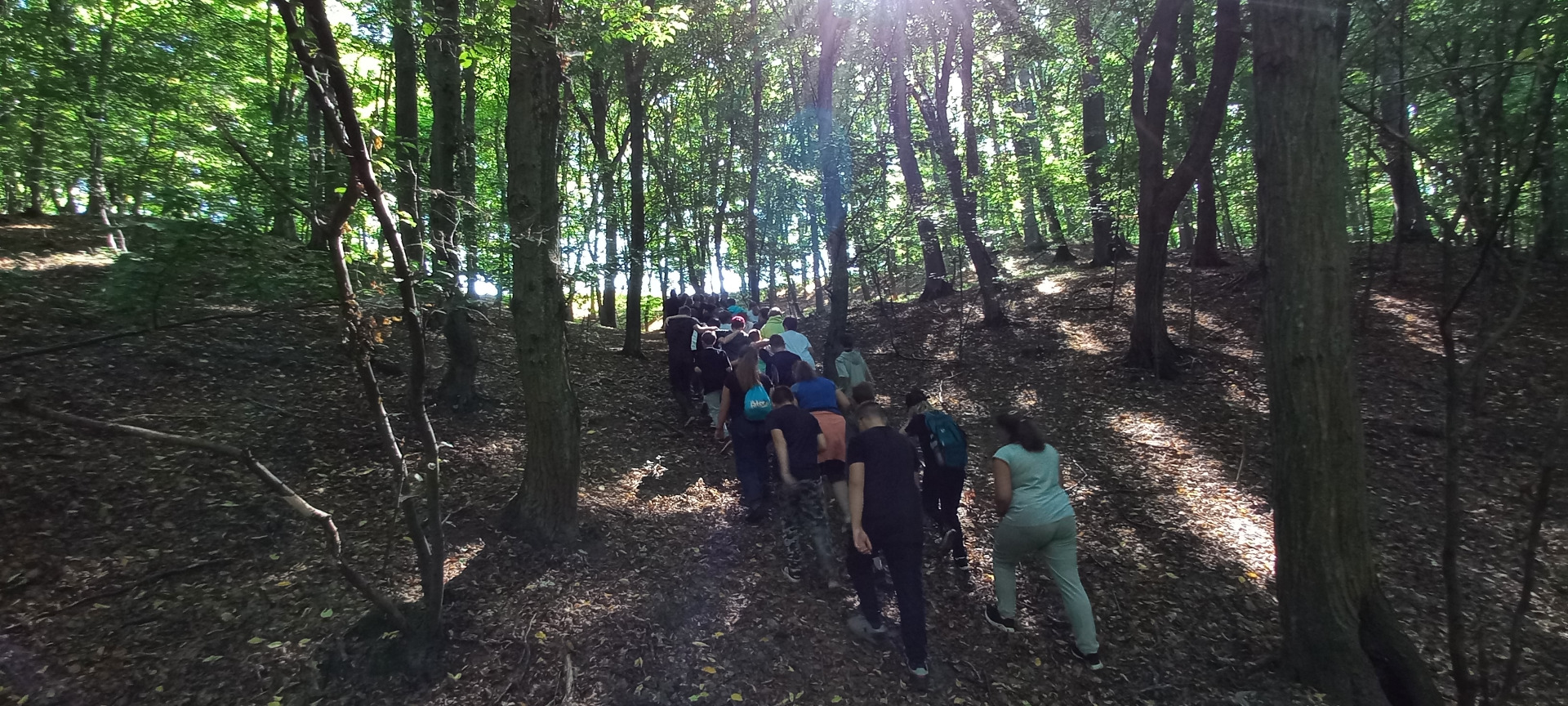 Ćwiczenia terenowe w leśnictwie Kruszyn - Obrazek 3