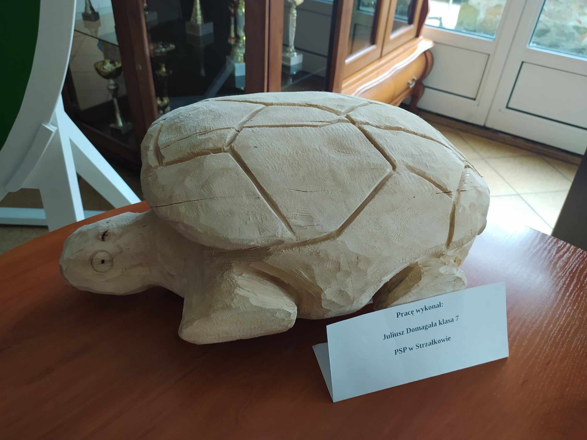 rzeźba z drewna - żółw