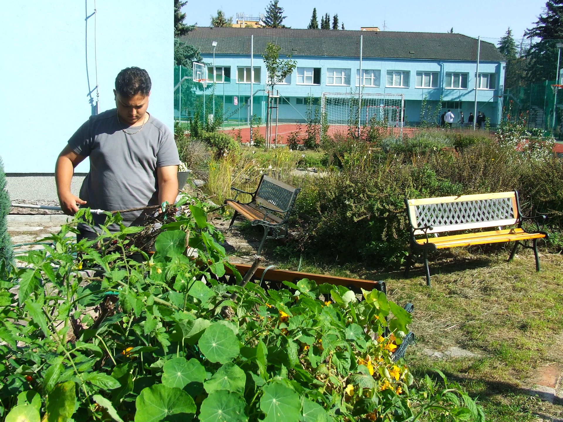 Klimatická záhrada: Prebiehajú jesenné práce - Obrázok 5