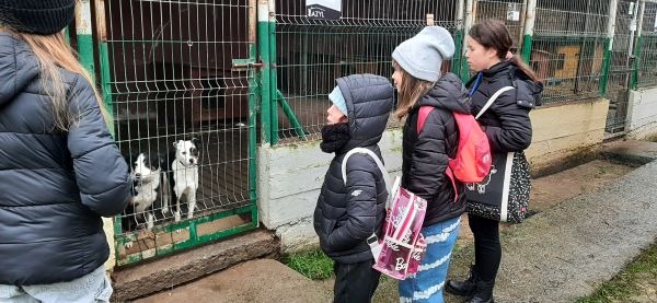 Uczniowie przed klatką z psami