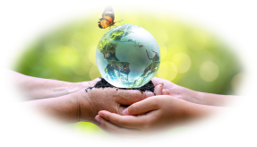 Deň zeme: čo môžeme urobiť pre životné prostredie | Naureus | Naureus.sk