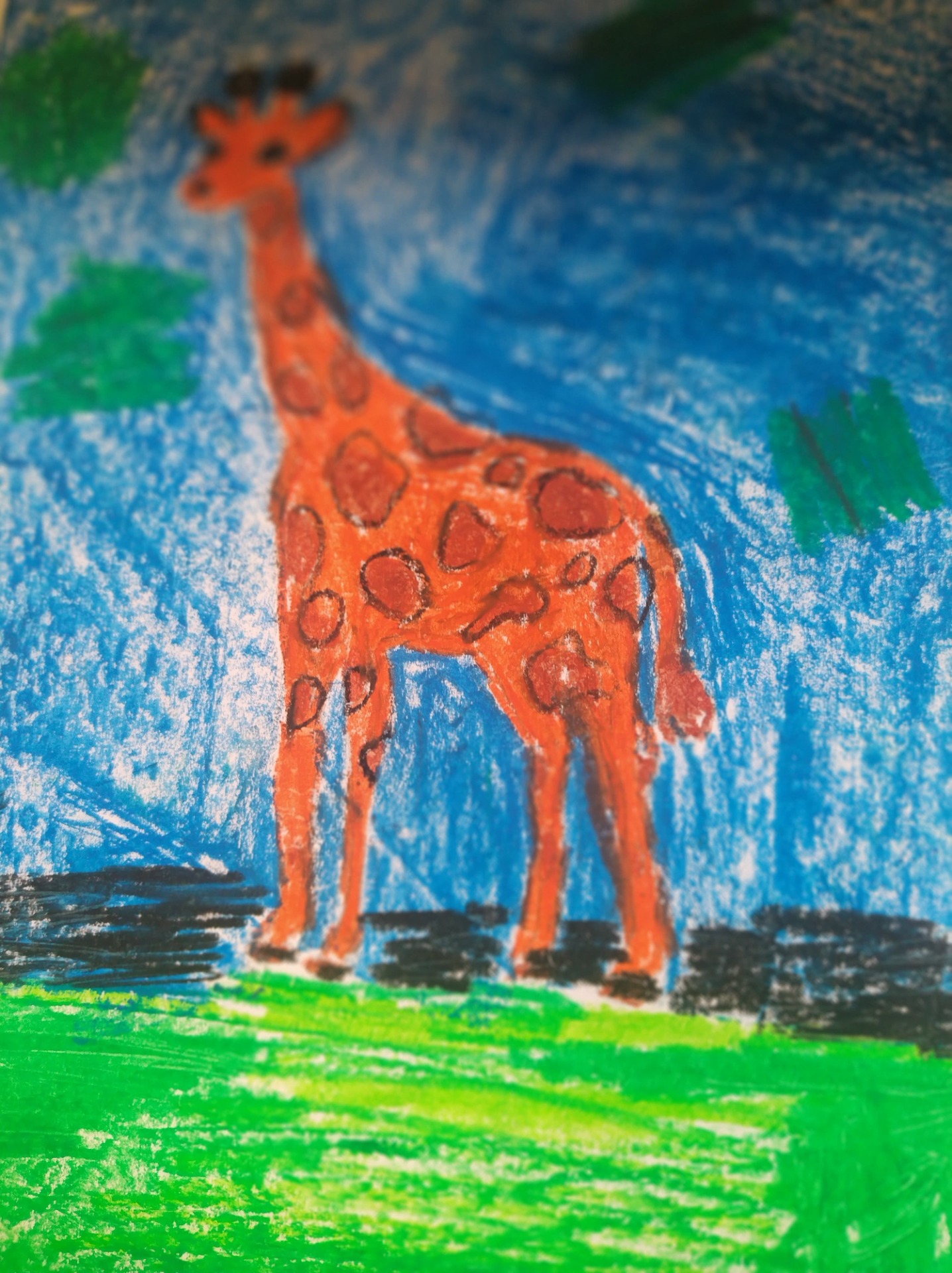 Praca malowana pastelami olejnymi - żyrafa