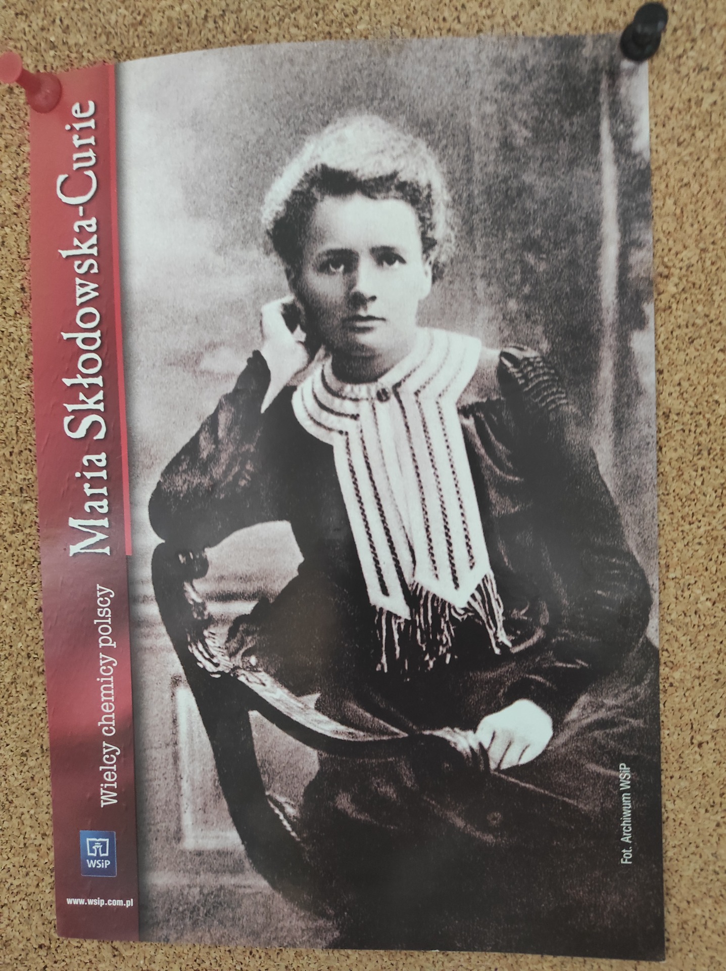 Maria Skłodowska - Curie.  Przypominamy sylwetkę polskiej dwukrotnej Noblistki - Obrazek 1