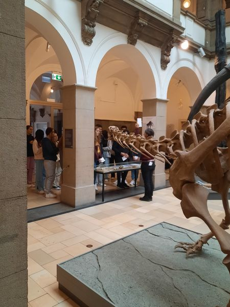 Das Paläontologische Museum - Bild 2