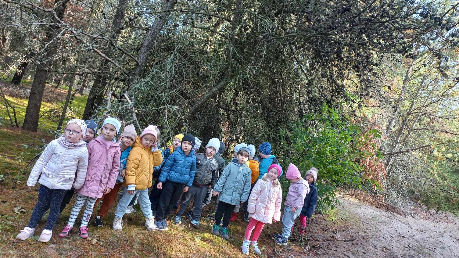 Przedszkolaki podczas wycieczki do lasu