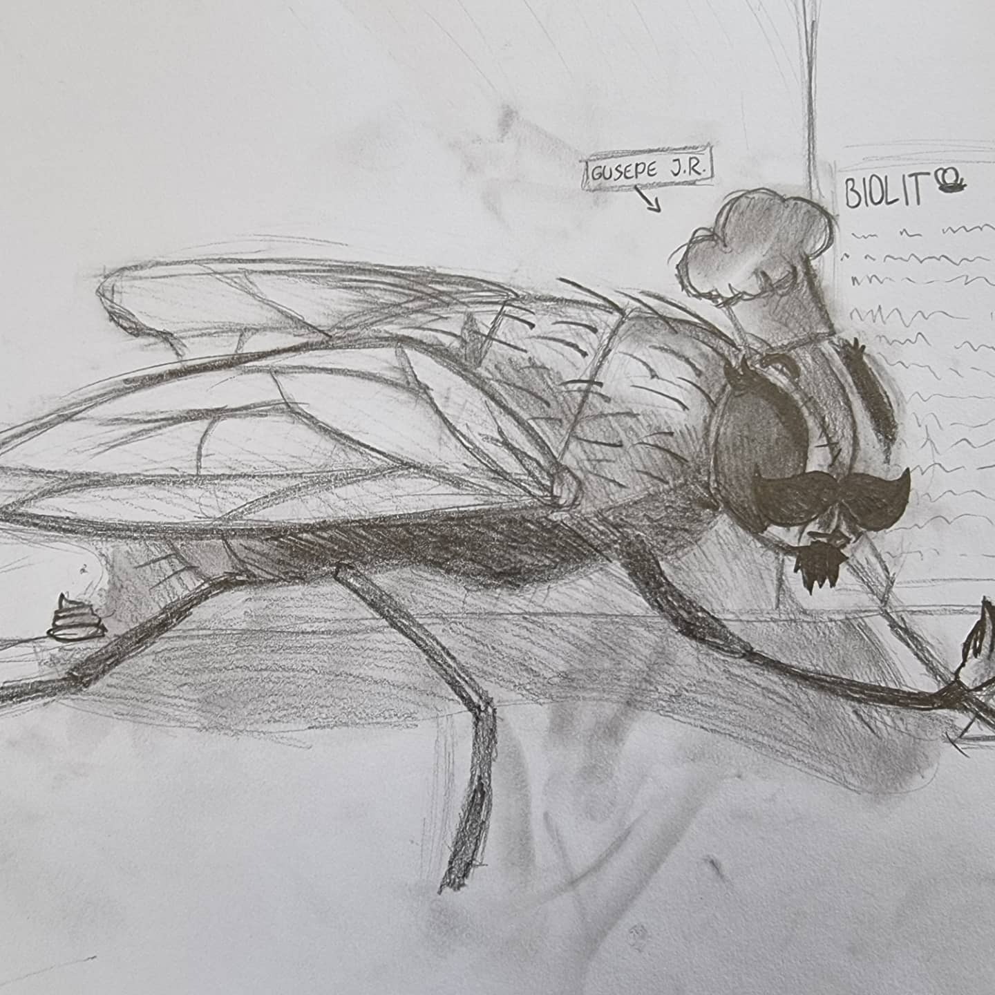 Hmyzáci - Obrázok 6